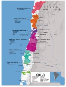 99% người tiêu dùng muốn biết rượu vang Chile giá bao nhiêu?